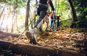 Differenza tra trekking ed escursionismo: guida alla montagna