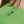 Load image into Gallery viewer, CRIXIA T-SHIRT WOMAN