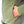 Load image into Gallery viewer, VALLUNGA HOODY MAN