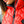 Load image into Gallery viewer, GEROLA VEST WOMAN