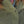 Load image into Gallery viewer, QUEEN JKT WOMAN