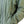 Load image into Gallery viewer, CATINACCIO 3L JKT MAN