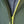 Load image into Gallery viewer, LA THUILE WINDBREAKER JKT MAN