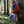 Load image into Gallery viewer, TRACK PANTS MAN
